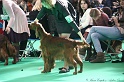 Crufts2011 672